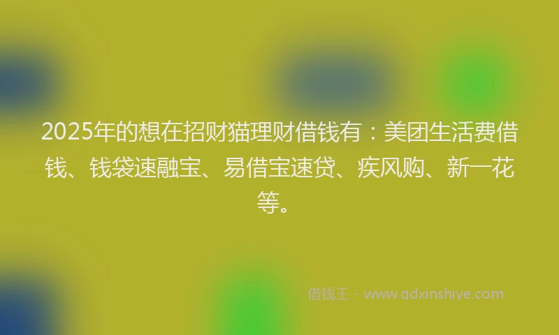 2025年的想在招财猫理财借钱有：美团生活费借钱、钱袋速融宝、易借宝速贷、疾风购、新一花等。