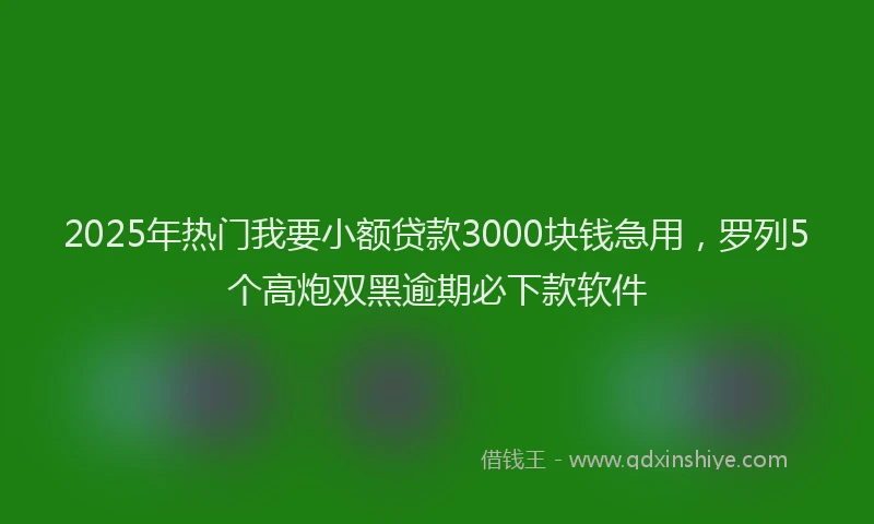 2025年热门我要小额贷款3000块钱急用，罗列5个高炮双黑逾期必下款软件