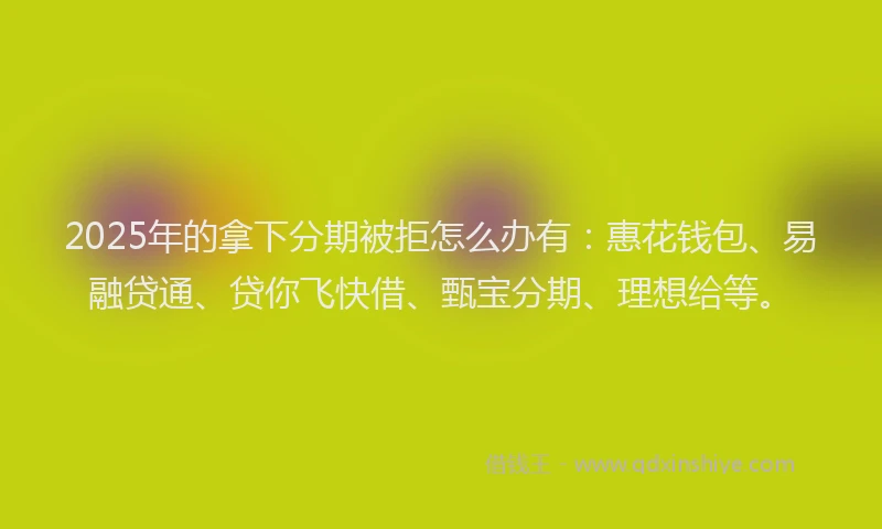 2025年的拿下分期被拒怎么办有：惠花钱包、易融贷通、贷你飞快借、甄宝分期、理想给等。