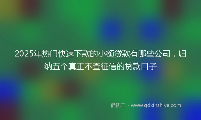 2025年热门快速下款的小额贷款有哪些公司，归纳五个真正不查征信的贷款口子