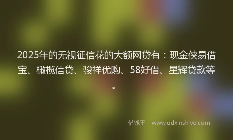 2025年的无视征信花的大额网贷有：现金侠易借宝、橄榄信贷、骏祥优购、58好借、星辉贷款等。