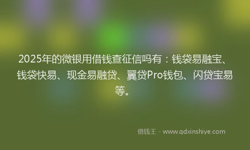 2025年的微银用借钱查征信吗有：钱袋易融宝、钱袋快易、现金易融贷、翼贷Pro钱包、闪贷宝易等。