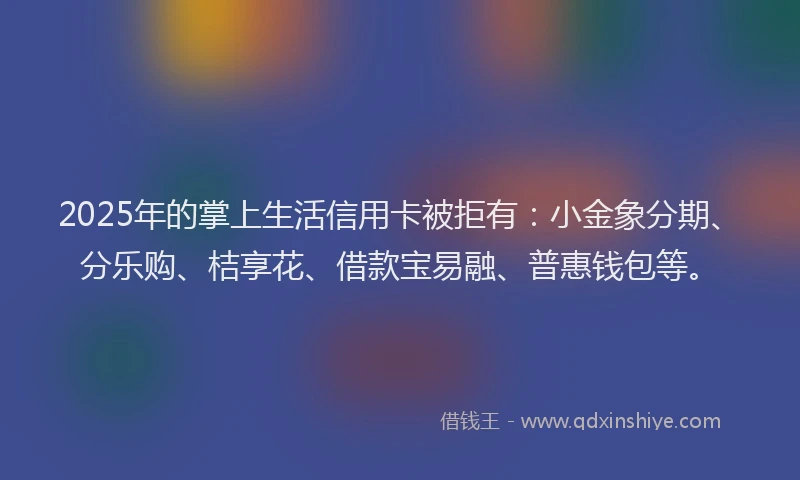 2025年的掌上生活信用卡被拒有：小金象分期、分乐购、桔享花、借款宝易融、普惠钱包等。