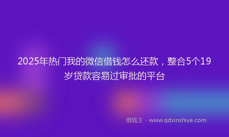 2025年热门我的微信借钱怎么还款，整合5个19岁贷款容易过审批的平台
