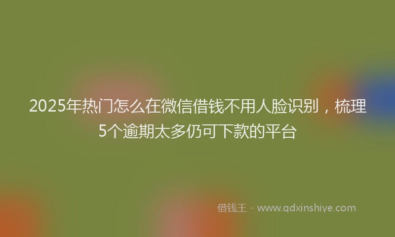 2025年热门怎么在微信借钱不用人脸识别，梳理5个逾期太多仍可下款的平台