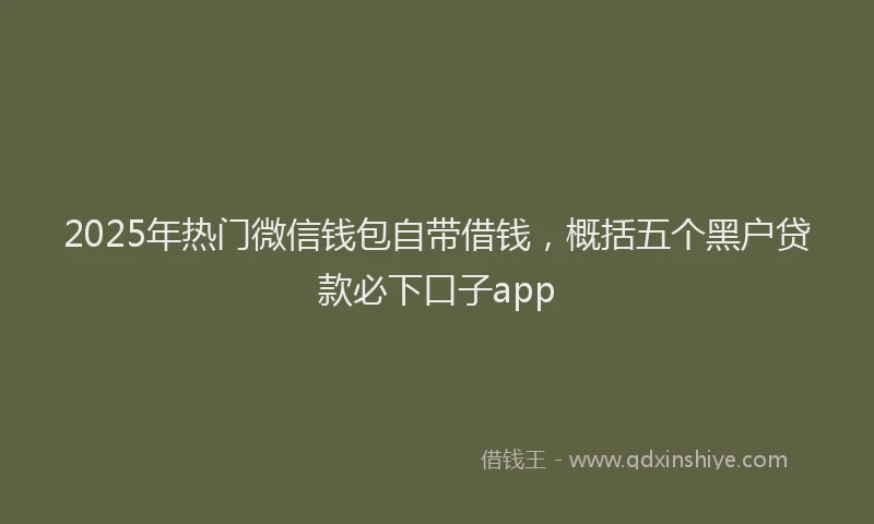 2025年热门微信钱包自带借钱，概括五个黑户贷款必下口子app