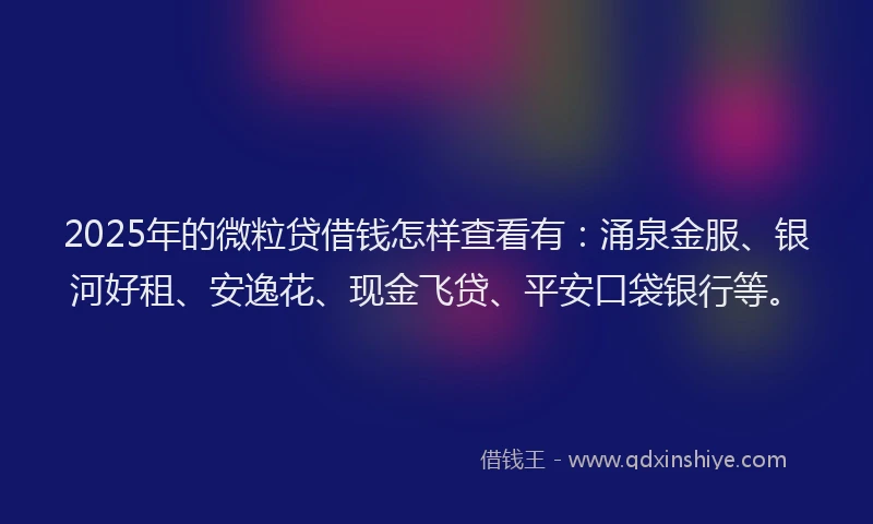 2025年的微粒贷借钱怎样查看有：涌泉金服、银河好租、安逸花、现金飞贷、平安口袋银行等。
