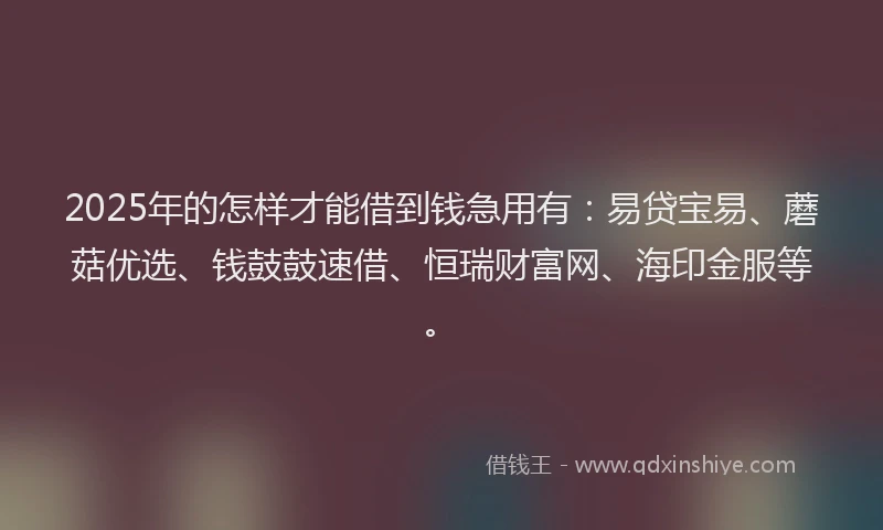 2025年的怎样才能借到钱急用有：易贷宝易、蘑菇优选、钱鼓鼓速借、恒瑞财富网、海印金服等。