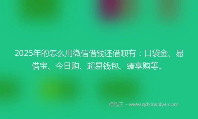 2025年的怎么用微信借钱还借呗有：口袋金、易借宝、今日购、超易钱包、臻享购等。