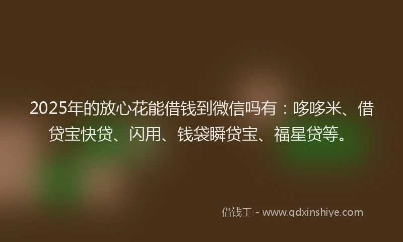 2025年的放心花能借钱到微信吗有：哆哆米、借贷宝快贷、闪用、钱袋瞬贷宝、福星贷等。