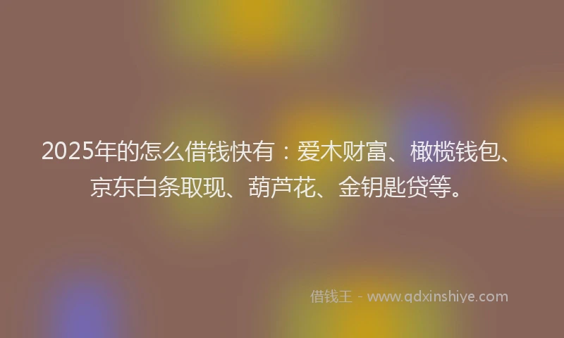 2025年的怎么借钱快有：爱木财富、橄榄钱包、京东白条取现、葫芦花、金钥匙贷等。