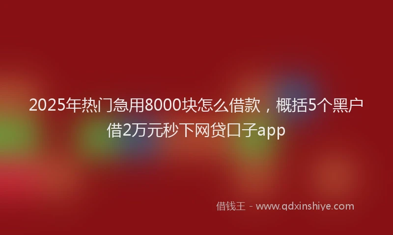 2025年热门急用8000块怎么借款，概括5个黑户借2万元秒下网贷口子app