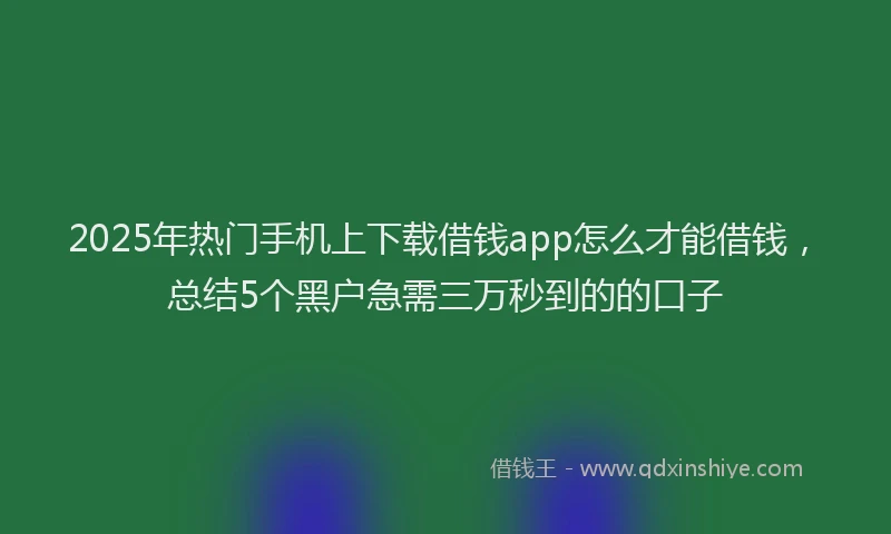 2025年热门手机上下载借钱app怎么才能借钱，总结5个黑户急需三万秒到的的口子