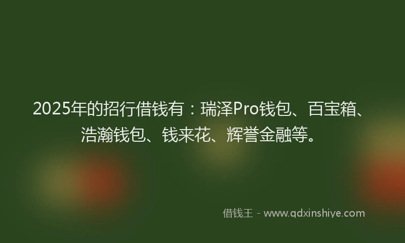 2025年的招行借钱有：瑞泽Pro钱包、百宝箱、浩瀚钱包、钱来花、辉誉金融等。