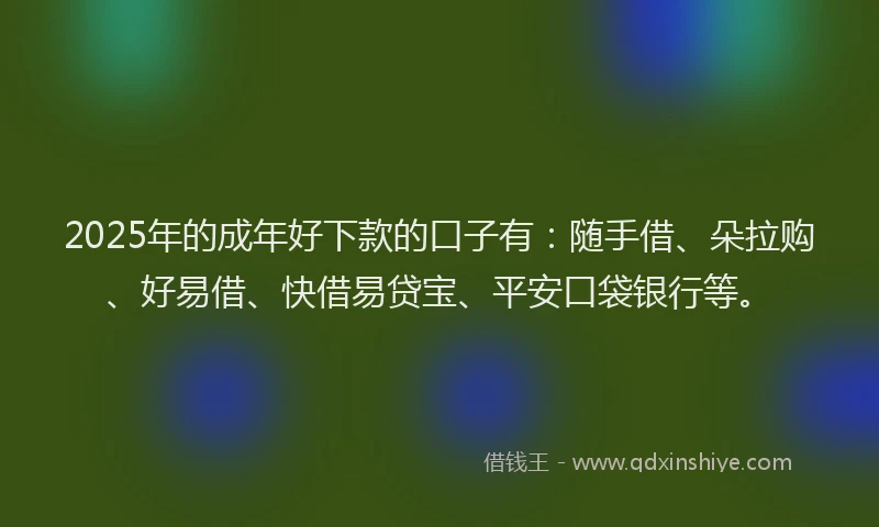 2025年的成年好下款的口子有：随手借、朵拉购、好易借、快借易贷宝、平安口袋银行等。