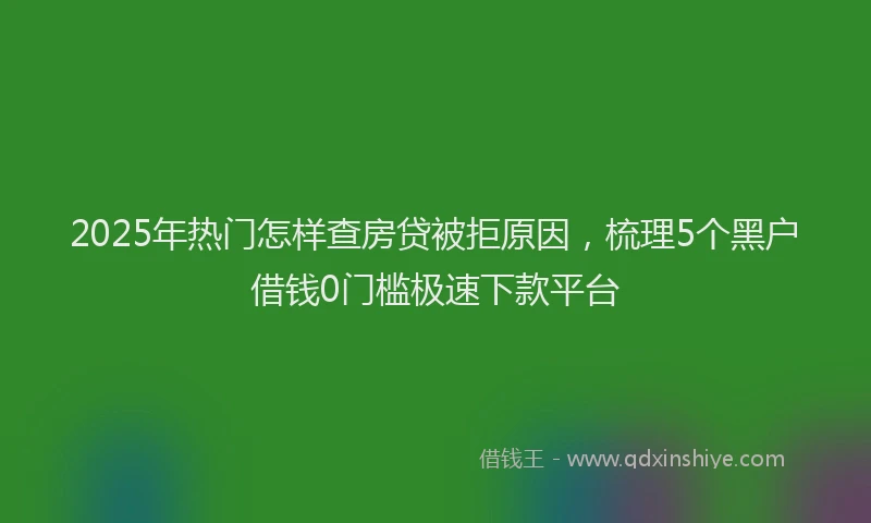 2025年热门怎样查房贷被拒原因，梳理5个黑户借钱0门槛极速下款平台