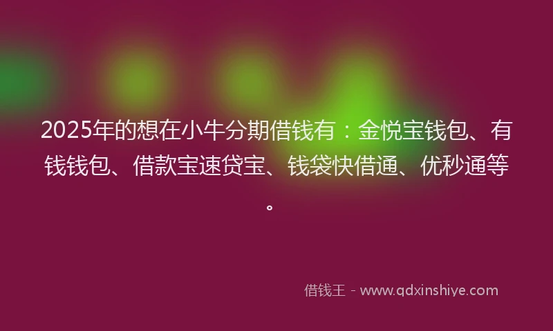 2025年的想在小牛分期借钱有：金悦宝钱包、有钱钱包、借款宝速贷宝、钱袋快借通、优秒通等。