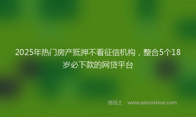 2025年热门房产抵押不看征信机构，整合5个18岁必下款的网贷平台
