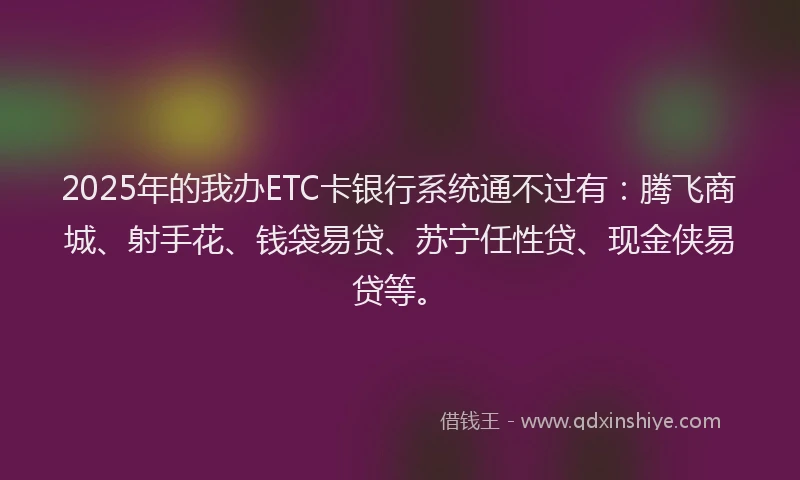 2025年的我办ETC卡银行系统通不过有：腾飞商城、射手花、钱袋易贷、苏宁任性贷、现金侠易贷等。