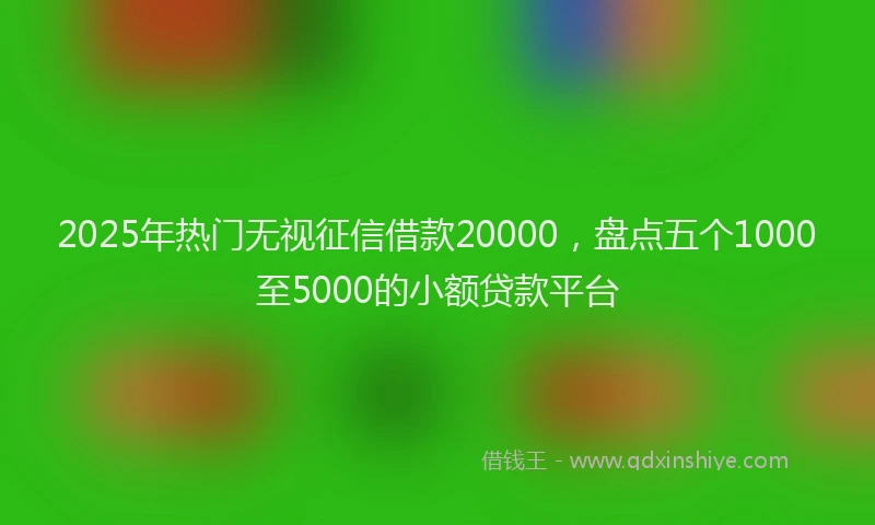 2025年热门无视征信借款20000，盘点五个1000至5000的小额贷款平台