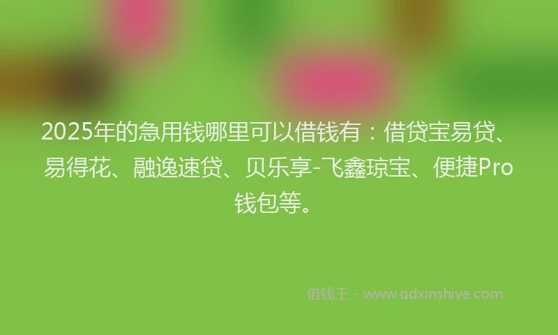 2025年的急用钱哪里可以借钱有：借贷宝易贷、易得花、融逸速贷、贝乐享-飞鑫琼宝、便捷Pro钱包等。