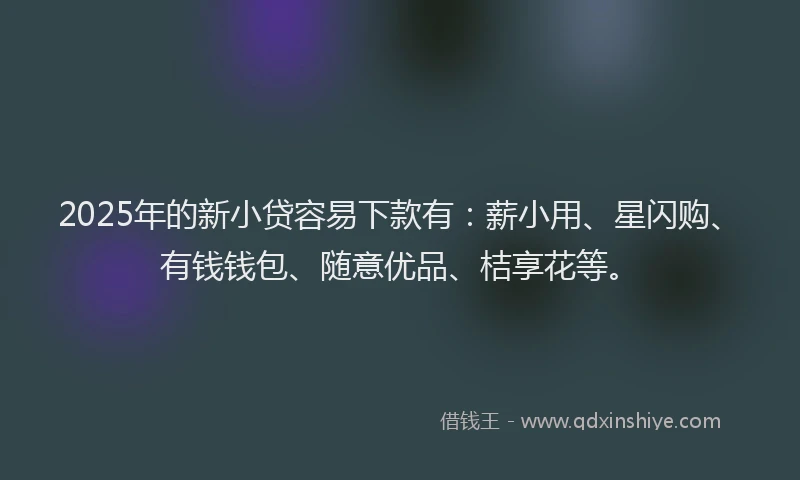 2025年的新小贷容易下款有：薪小用、星闪购、有钱钱包、随意优品、桔享花等。