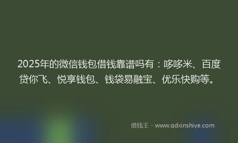 2025年的微信钱包借钱靠谱吗有：哆哆米、百度贷你飞、悦享钱包、钱袋易融宝、优乐快购等。
