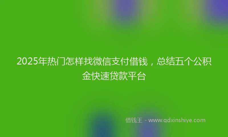 2025年热门怎样找微信支付借钱，总结五个公积金快速贷款平台