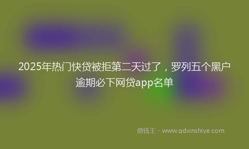 2025年热门快贷被拒第二天过了，罗列五个黑户逾期必下网贷app名单