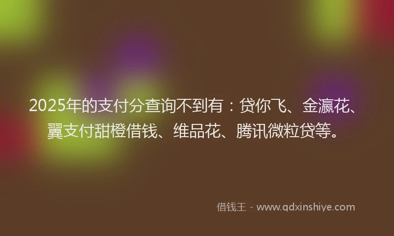 2025年的支付分查询不到有：贷你飞、金瀛花、翼支付甜橙借钱、维品花、腾讯微粒贷等。