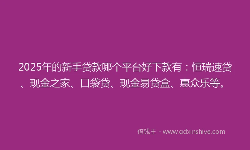2025年的新手贷款哪个平台好下款有：恒瑞速贷、现金之家、口袋贷、现金易贷盒、惠众乐等。