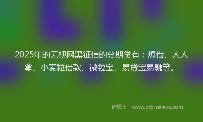 2025年的无视网黑征信的分期贷有：想借、人人拿、小麦粒借款、微粒宝、易贷宝易融等。
