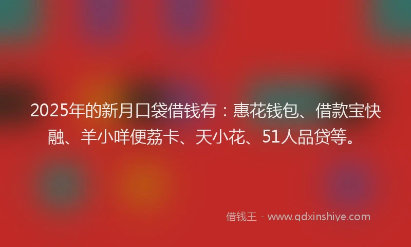 2025年的新月口袋借钱有：惠花钱包、借款宝快融、羊小咩便荔卡、天小花、51人品贷等。