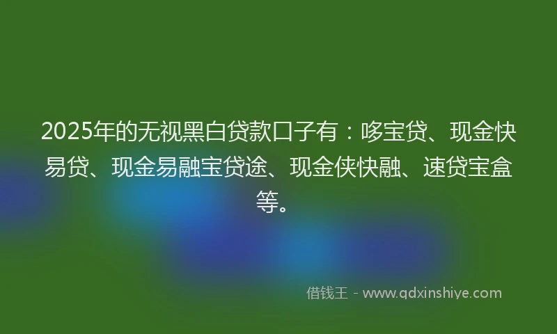 2025年的无视黑白贷款口子有：哆宝贷、现金快易贷、现金易融宝贷途、现金侠快融、速贷宝盒等。