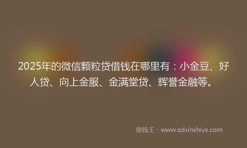 2025年的微信颗粒贷借钱在哪里有：小金豆、好人贷、向上金服、金满堂贷、辉誉金融等。
