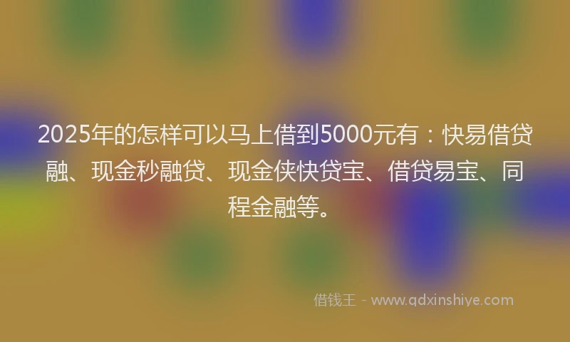 2025年的怎样可以马上借到5000元有：快易借贷融、现金秒融贷、现金侠快贷宝、借贷易宝、同程金融等。