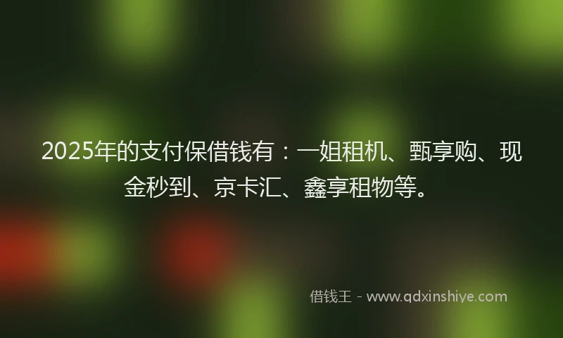 2025年的支付保借钱有：一姐租机、甄享购、现金秒到、京卡汇、鑫享租物等。
