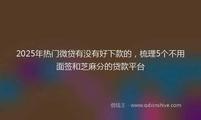 2025年热门微贷有没有好下款的，梳理5个不用面签和芝麻分的贷款平台