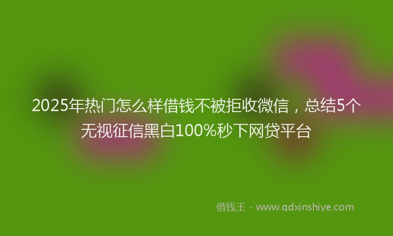 2025年热门怎么样借钱不被拒收微信，总结5个无视征信黑白100%秒下网贷平台