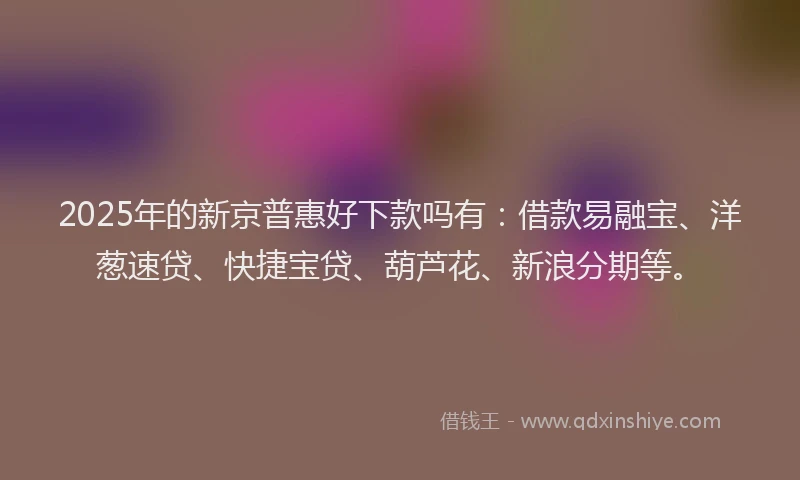 2025年的新京普惠好下款吗有：借款易融宝、洋葱速贷、快捷宝贷、葫芦花、新浪分期等。