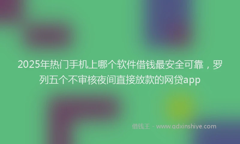 2025年热门手机上哪个软件借钱最安全可靠，罗列五个不审核夜间直接放款的网贷app