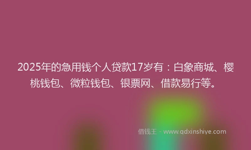2025年的急用钱个人贷款17岁有：白象商城、樱桃钱包、微粒钱包、银票网、借款易行等。