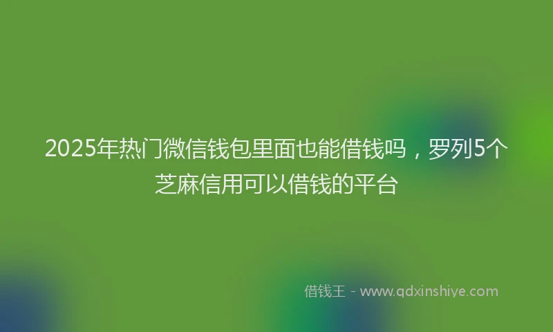 2025年热门微信钱包里面也能借钱吗，罗列5个芝麻信用可以借钱的平台