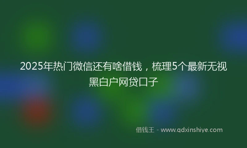 2025年热门微信还有啥借钱，梳理5个最新无视黑白户网贷口子