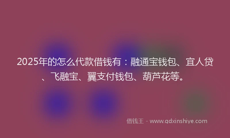 2025年的怎么代款借钱有：融通宝钱包、宜人贷、飞融宝、翼支付钱包、葫芦花等。