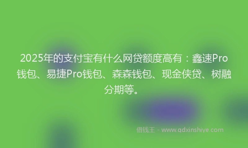 2025年的支付宝有什么网贷额度高有：鑫速Pro钱包、易捷Pro钱包、森森钱包、现金侠贷、树融分期等。