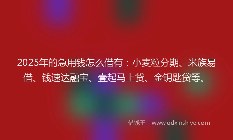2025年的急用钱怎么借有：小麦粒分期、米族易借、钱速达融宝、壹起马上贷、金钥匙贷等。