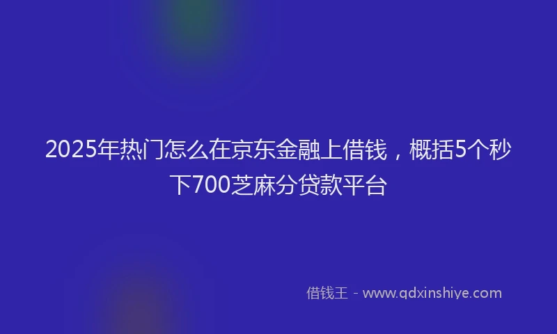 2025年热门怎么在京东金融上借钱，概括5个秒下700芝麻分贷款平台