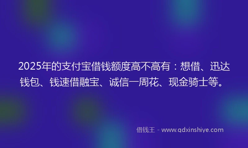 2025年的支付宝借钱额度高不高有：想借、迅达钱包、钱速借融宝、诚信一周花、现金骑士等。
