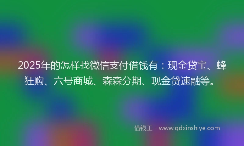 2025年的怎样找微信支付借钱有：现金贷宝、蜂狂购、六号商城、森森分期、现金贷速融等。